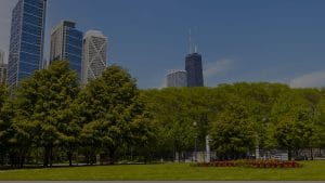 McEnery Lawn Care Chicago