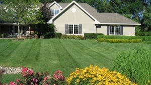McEnery Lawn Care - Residential Lawn Care Chicago