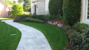 McEnery Lawn Care - Tree and Shrub Care Chicago