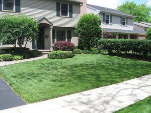 McEnery Lawn Care - About Us - Palatine Lawn Care Company