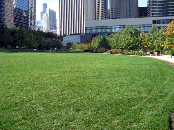McEnery Lawn Care - Chicagoland Commercial Lawn Care - Palatine Lawn Care Company