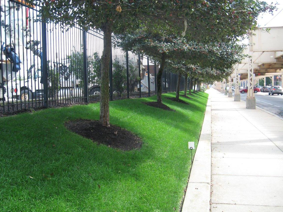 McEnery Lawn Care – Chicagoland Commercial Lawn Care