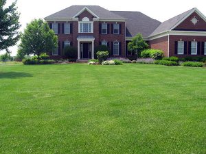 McEnery Lawn Care - Chicagoland Residential Lawn Care - Palatine Lawn Care Company