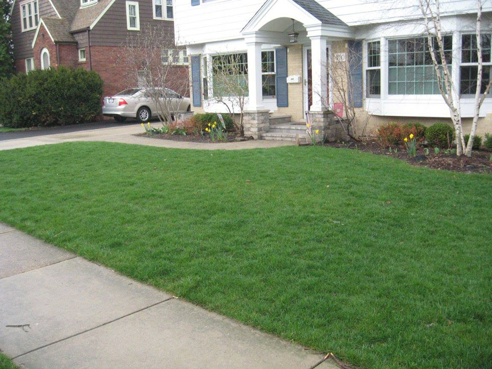 McEnery Lawn Care – Chicagoland Residential Lawn Care