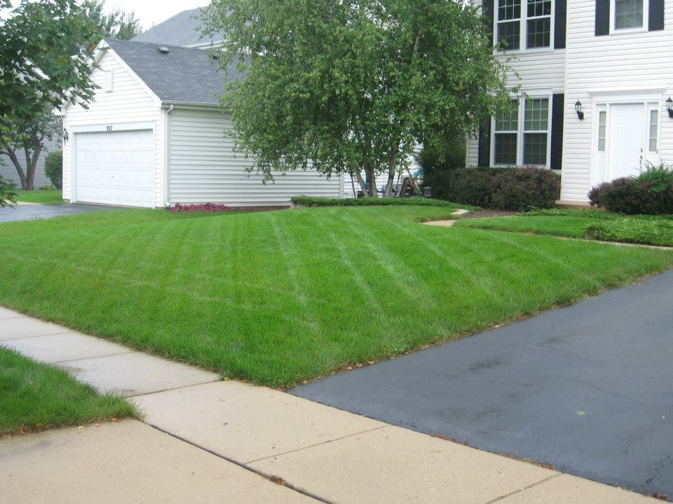 McEnery Lawn Care – Chicagoland Residential Lawn Care